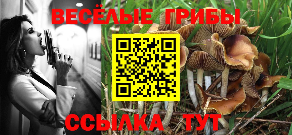 Галлюциногенные грибы Magic Shrooms  Галлюциногенные грибы мухоморы  Димитровград  Вход с VPN 
